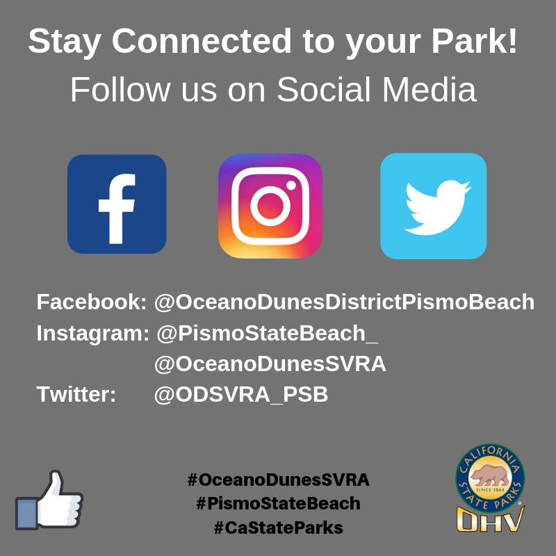 @PismoStateBeach_ is the handle for social media pages